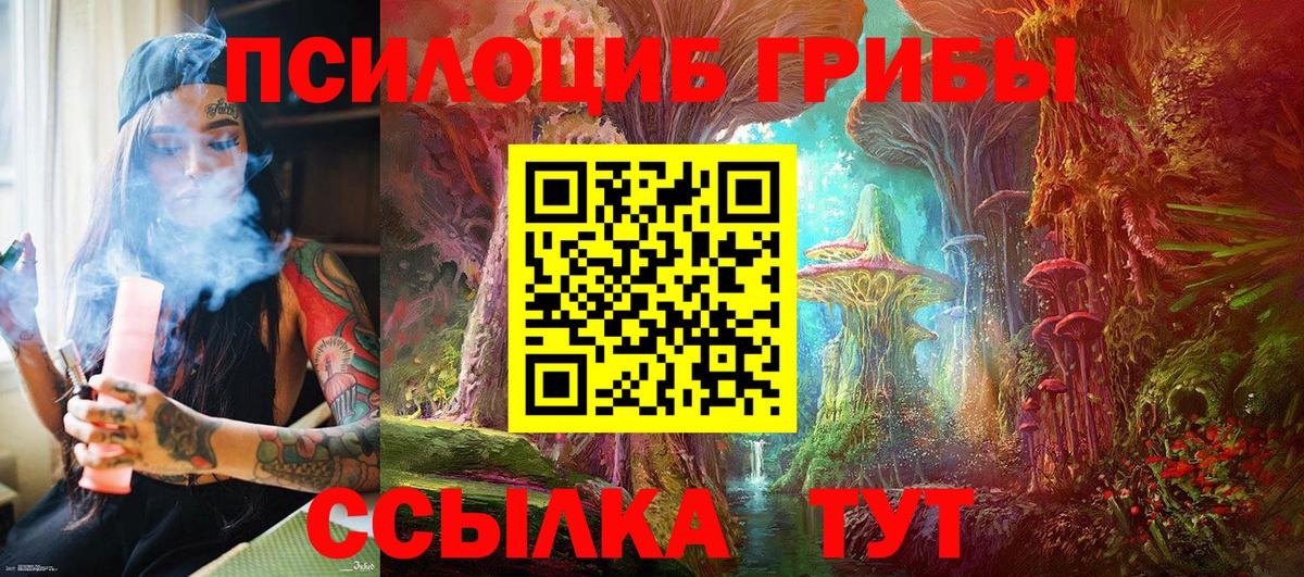 Псилоцибиновые грибы Psilocybe Вятские Поляны